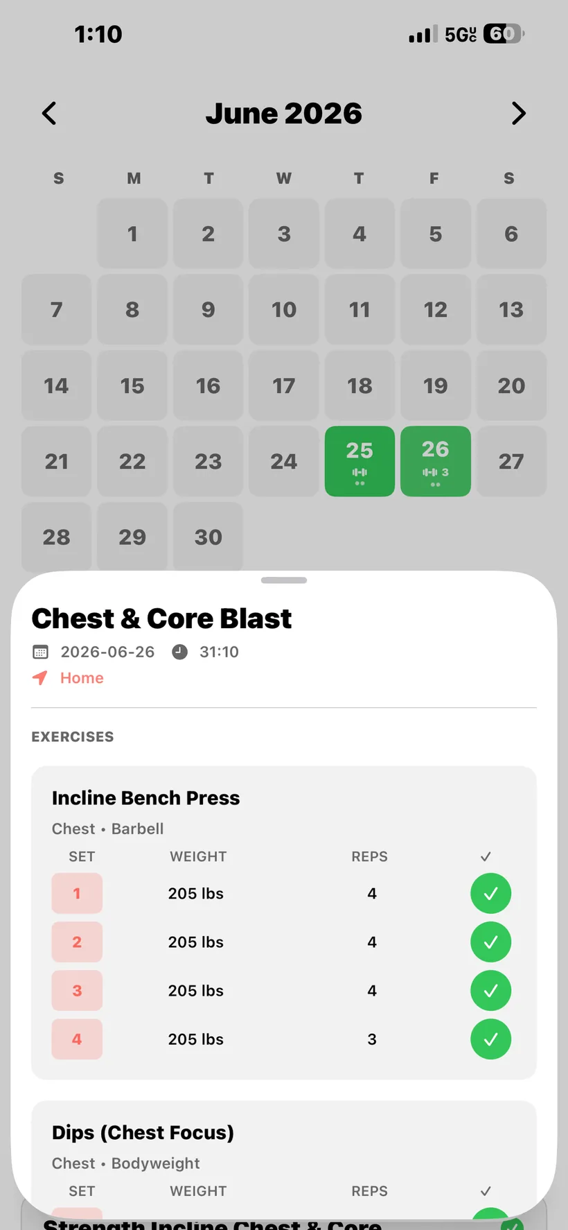 Set-by-set workout details in REPZ